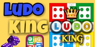 ludo king for pc