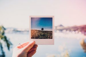Learn How to Turn Photos Into Drawings with These Free Apps