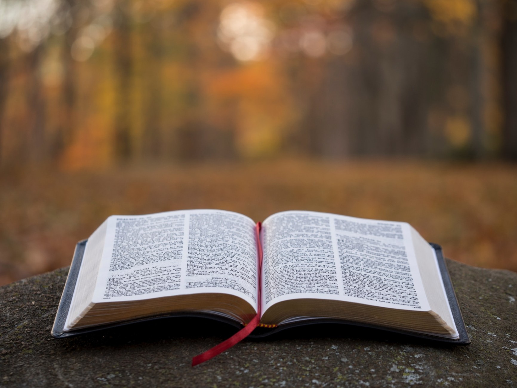 Have More Comfort and Ease of Use with These Free Bible Study Apps