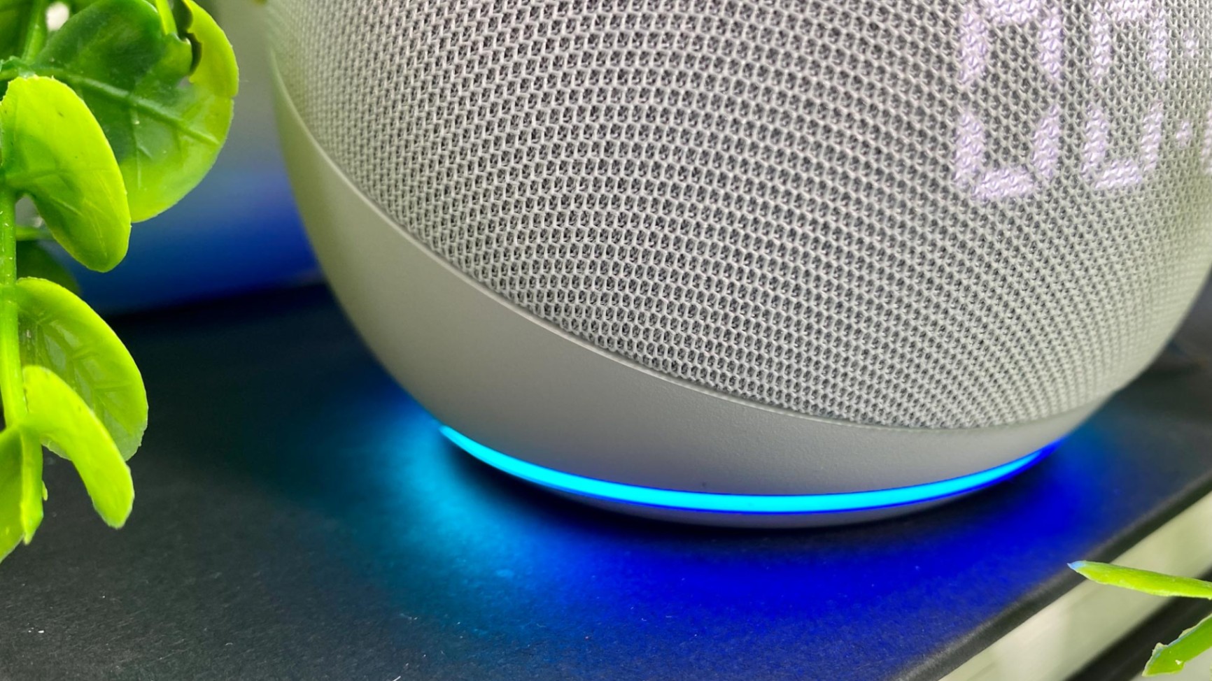 Learn About the Top Alexa Skills and Commands