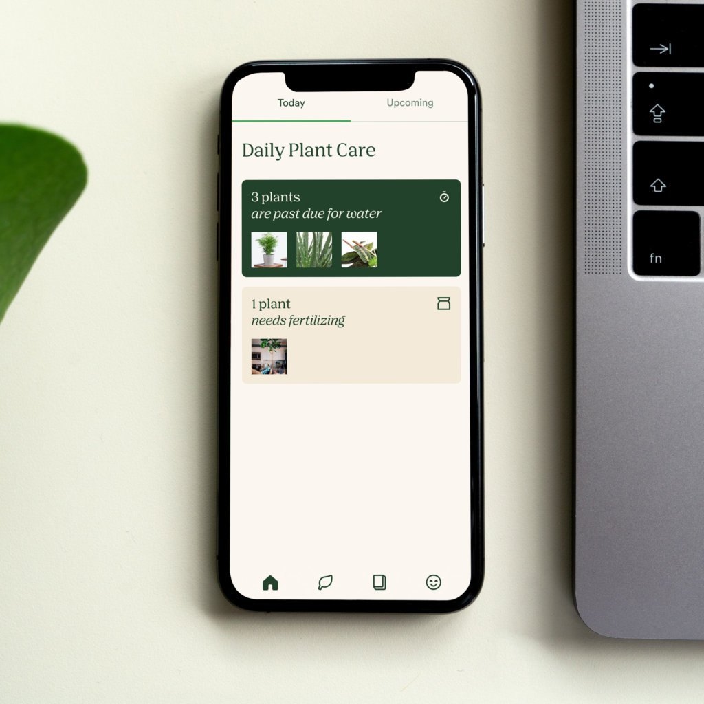 App to Learn How to Care for Plants: See How to Download Vera for Free