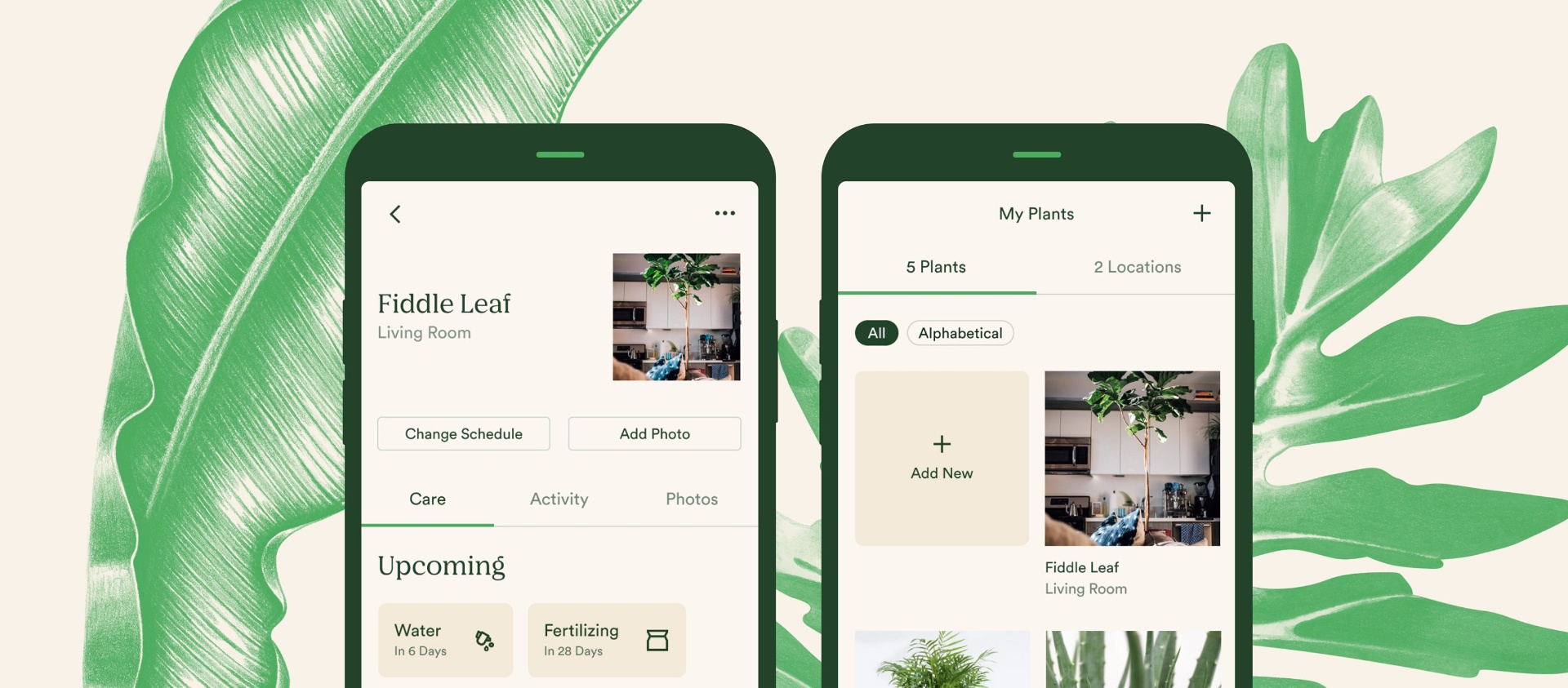 App to Learn How to Care for Plants: See How to Download Vera for Free