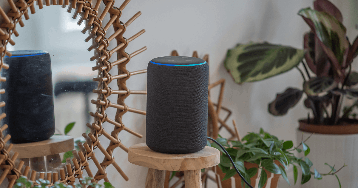 Learn About the Top Alexa Skills and Commands