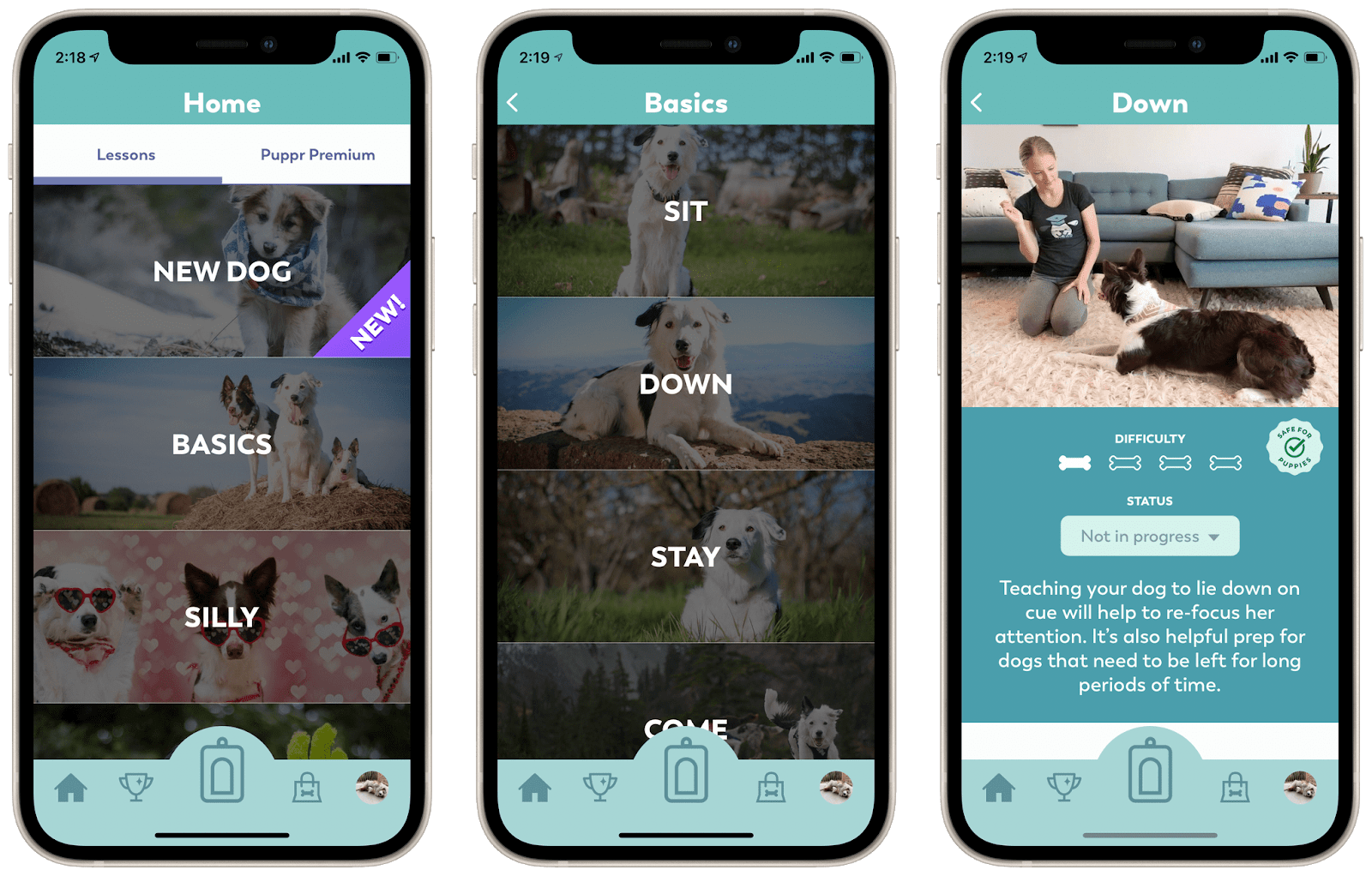 Mobile Dog Training App: Check Out Puppr