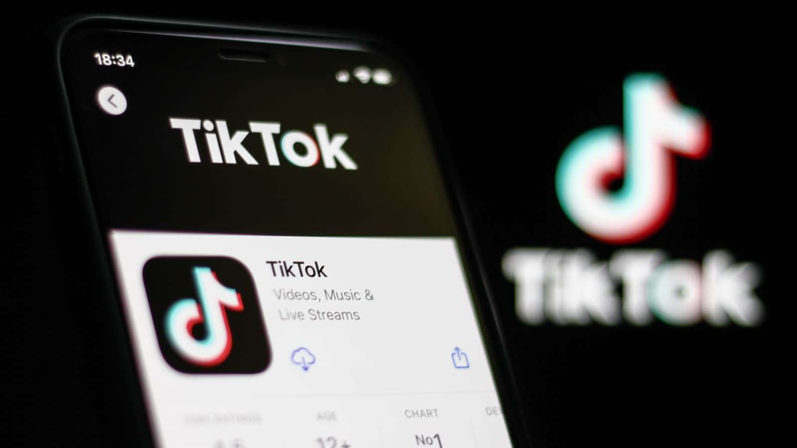 TikTok - Learn How to Report Audio Clips