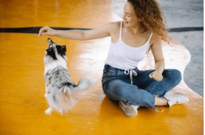 How to Train a Dog With a Free Training App
