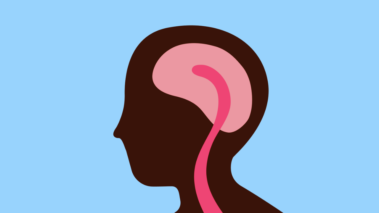 Memory Improvement Techniques That Actually Work