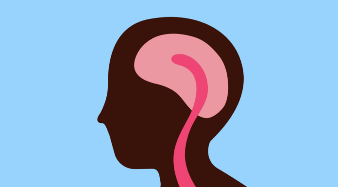 Memory Improvement Techniques That Actually Work