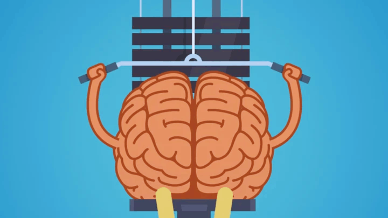 Memory Improvement Techniques That Actually Work