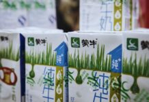 Career Growth and Opportunities at Mengniu: Explore the Global Dairy Industry