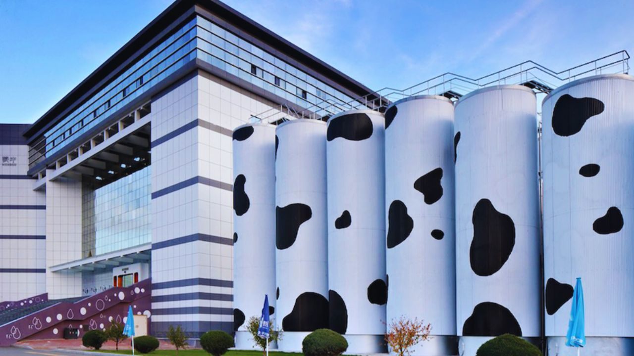 Career Growth and Opportunities at Mengniu: Explore the Global Dairy Industry